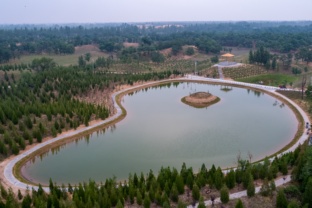 槐園示范園建設(shè)